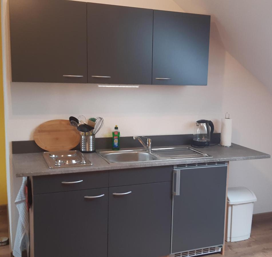 Haus Am Park Appartement Thallwitz Buitenkant foto