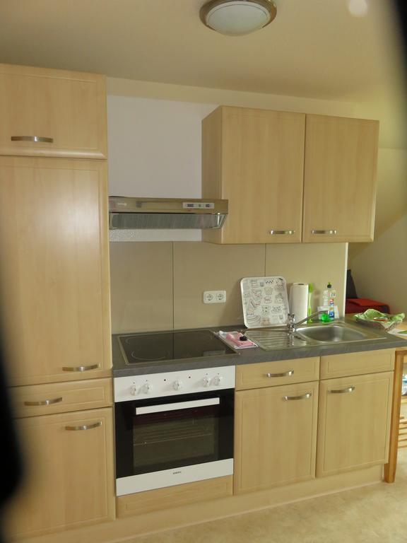 Haus Am Park Appartement Thallwitz Buitenkant foto