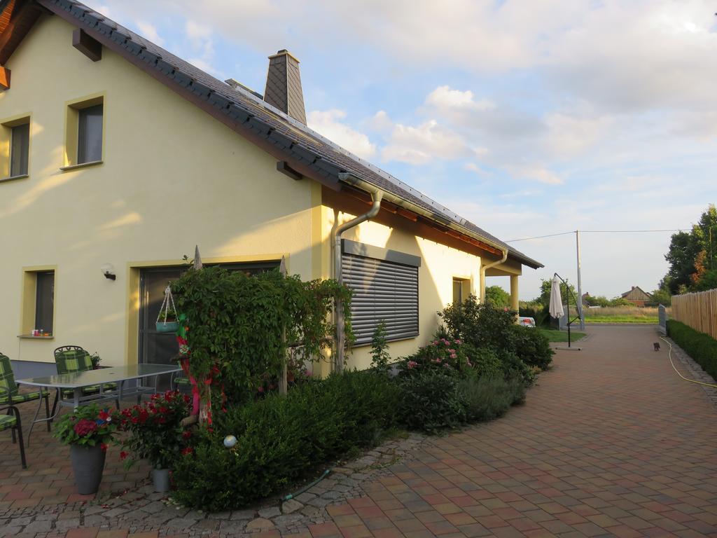 Haus Am Park Appartement Thallwitz Buitenkant foto