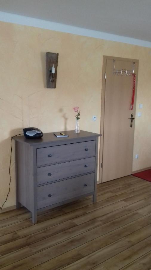Haus Am Park Appartement Thallwitz Buitenkant foto