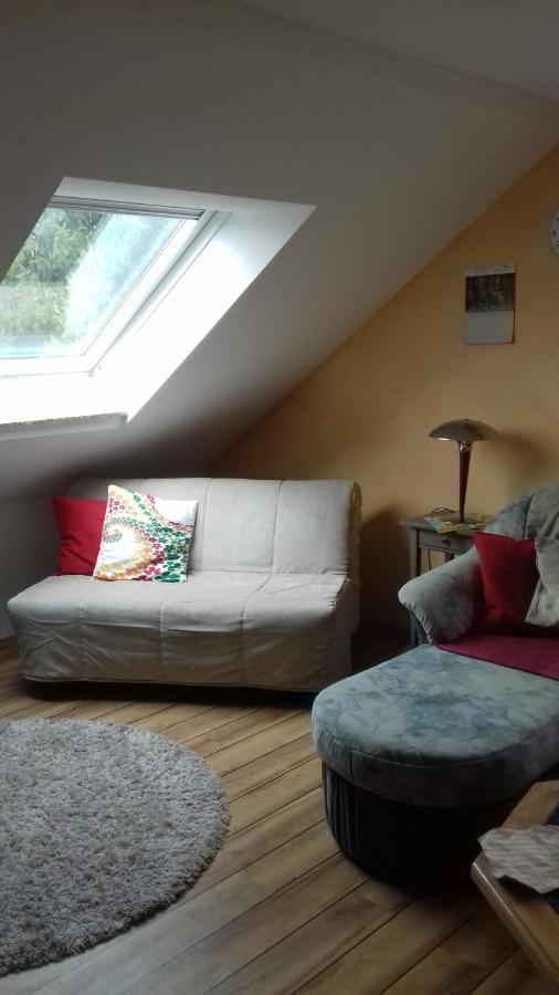Haus Am Park Appartement Thallwitz Buitenkant foto